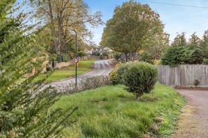 Photo 26- click for photo gallery